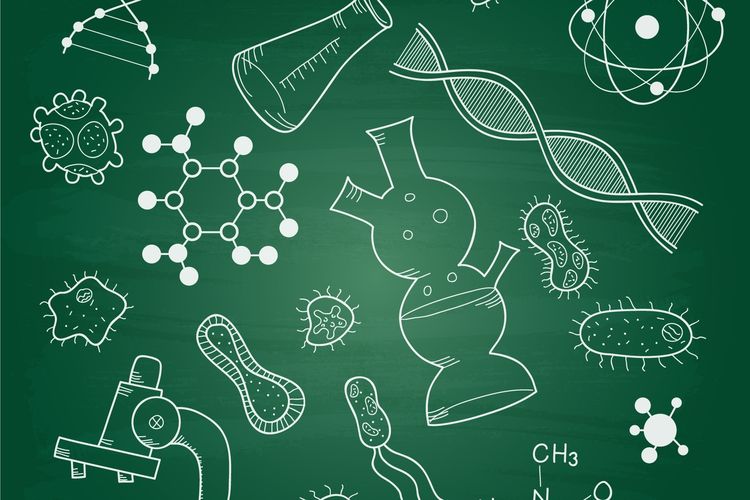 A PROBLEM-BASED LEARNING MODEL IN BIOLOGY EDUCATION COURSES TO DEVELOP INQUIRY TEACHING COMPETENCY OF PRESERVICE TEACHERS